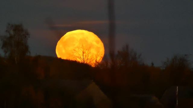 Orange Moon 10.10.2022. смотреть онлайн