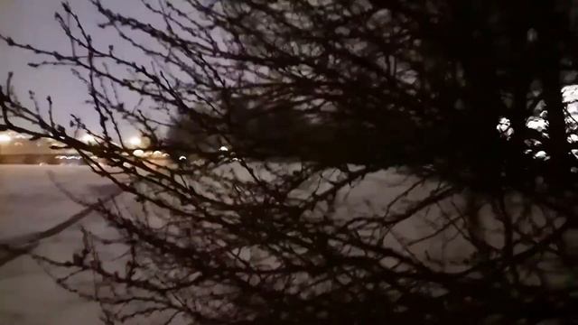 VID 1608953153345 Как проснулся средь ночи...Павел Васильев Лахтинский смотреть онлайн