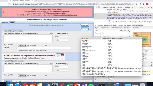 Python Selenium Tutorial Introduction| NCBI Sequence Alignment смотреть онлайн