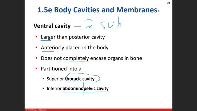Day 2: General Body Plan Chapter 1 Lab 1/14/21 Part 2 смотреть онлайн