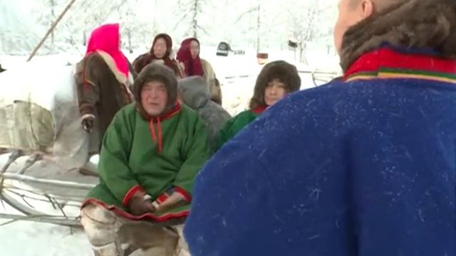 Ледков в надымской тундре смотреть онлайн