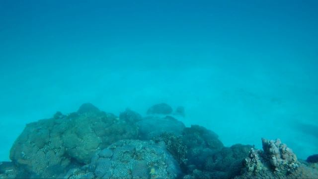 Красное море. 01.12.2018 смотреть онлайн