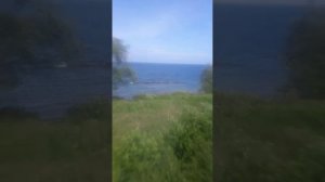 "Ты потерпи, Донбасс" - Шаповалов Роман Юрьевич".