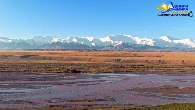 Почему Просветленные Не Хотят Избавляться от Войн, Болезней и Голода?! l НИКОШО и Роберт Адамс смотреть онлайн