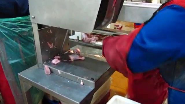 Пила дисковая Спрут Э-1095. Разделка тушек птицы и кролика смотреть онлайн