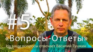 «Вопросы-Ответы», Выпуск #5 - Василий Тушкин отвечает на ваши вопросы