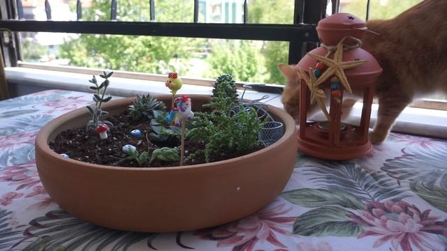 Minik Balkonumu Nasıl Dekore Ederim ❓ 5m2 Bahçede İnanılmaz Dönüşüm ☘ смотреть онлайн