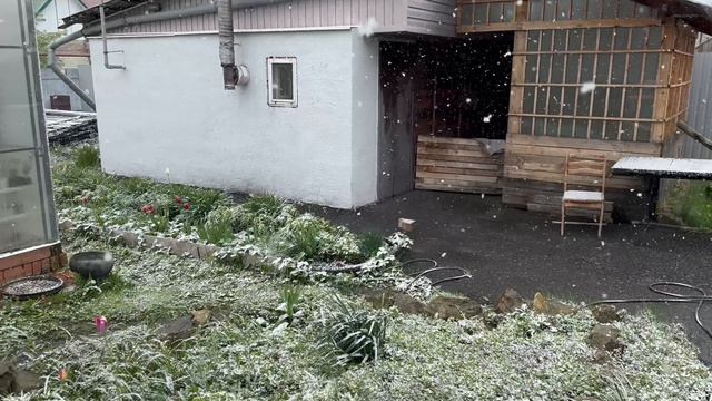 09-05-2024 Пенза смотреть онлайн