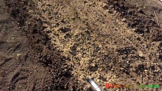 Посадка Морковки!!! Практически без прореживания в будущем! смотреть онлайн