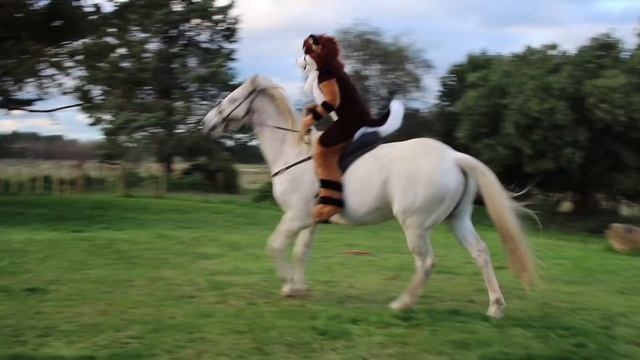 Fursuits N Horses (it's All The Rage)