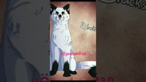 коты воители просто коты воители