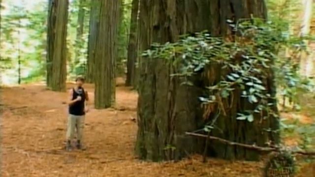 Gerhard Reinke's Wanderlust Episode 4 - California смотреть онлайн