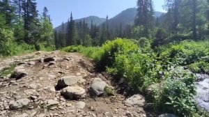 Хорошо ходить по свету.... 🙂