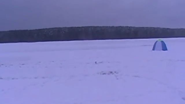 Лёд с водой и окуни. Могло быть и хуже. смотреть онлайн