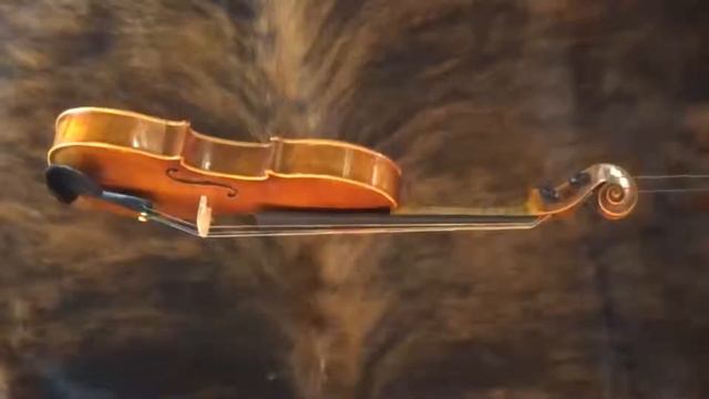 Revelle Model 500 Violin смотреть онлайн