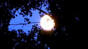 Аля Чинина  -  В последний раз