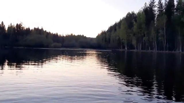 Природа Северного Урала. Лебеди. Рыбалка на плотинке.Покровск-Уральский.Играю на варгане. смотреть онлайн