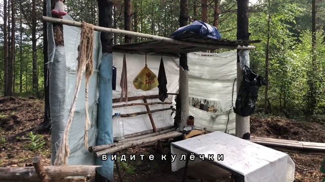 Новости из леса.Поход за моховиками. смотреть онлайн