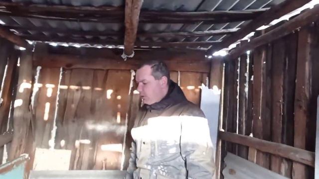 Что случилось с бактериями? смотреть онлайн