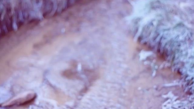 Скворечник смотреть онлайн