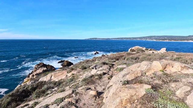 Point Lobos State Nature Reserve - Virtual Tour / Hiking Video смотреть онлайн