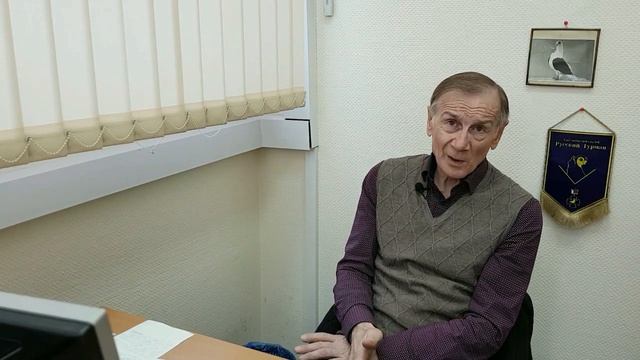 Голуби породы турман. Лекция пятая. О краснопегих турманах. Константин Шарпов. смотреть онлайн