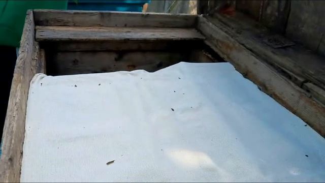 Обробка Бджіл Щавлевою Кислотою! смотреть онлайн