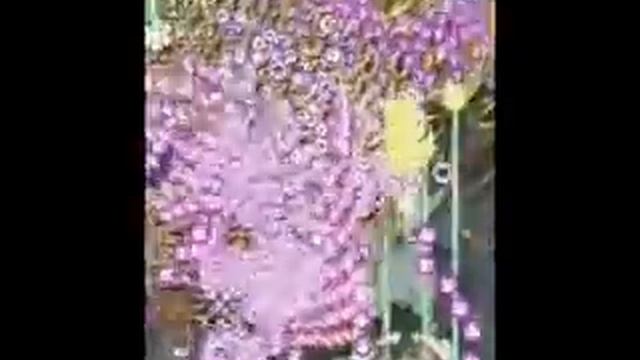 Unknown Player - ESPGaluda II - All Clear - Stage 1 смотреть онлайн