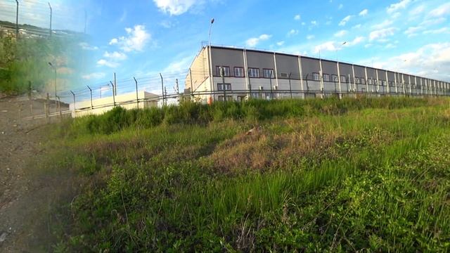 Весенняя охота | 2021 | Миграция перепела | Натсака легавой | по вольному перепелу | № 13 ! смотреть онлайн