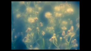 Гаврилин ,,Вечерняя музыка" из симфонии ,,Перезвоны"