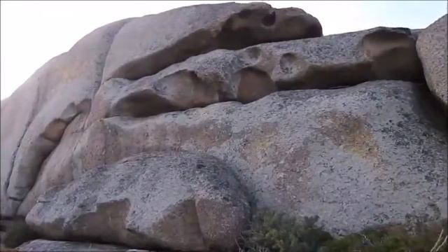 Природа Восточного Казахстана смотреть онлайн