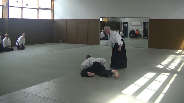 stage Aïkido préparation grade CID Auvergne mai 2023 смотреть онлайн