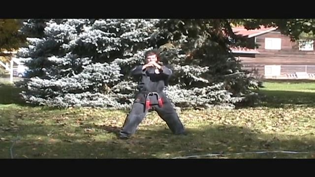 Tiny Tiger Sets смотреть онлайн