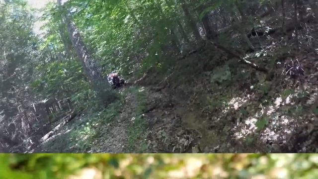 muvee Reveal Encore - Experiment смотреть онлайн
