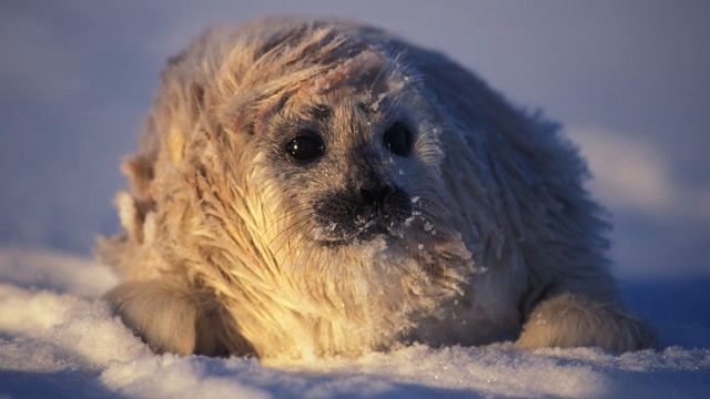 Очень красивые фото природы!