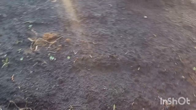 Дождливые дни /Неделю уже живем на даче/Чем мы занимаемся / смотреть онлайн