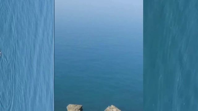 Дельфины в Батуми-2019 смотреть онлайн