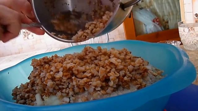 Языки и Культуры