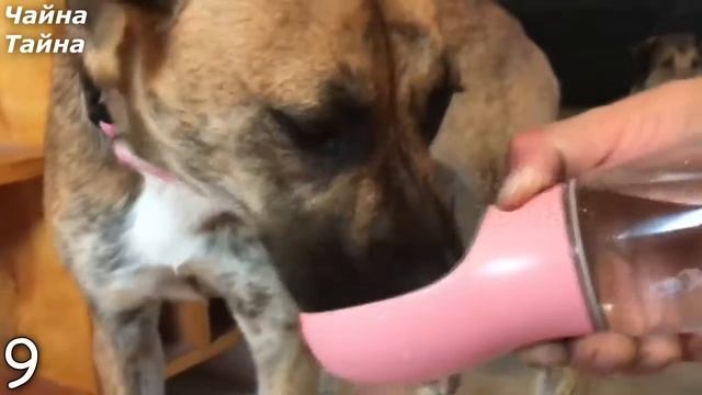 15 ПОЛЕЗНЫХ УСТРОЙСТВ С ALIEXPRESS смотреть онлайн