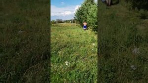 Работа роторной косилка кр-05 нева