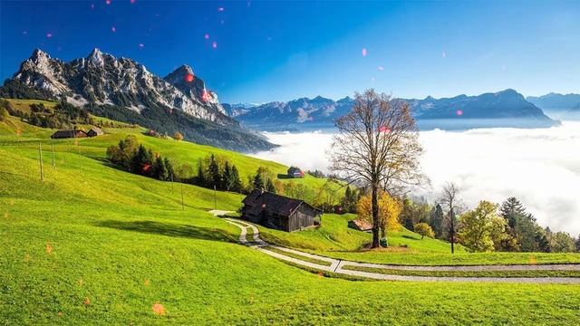 Лучшая для души! Необыкновенная красивая Романтическая осенняя музыка Любви! осени #143