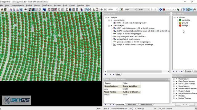 Counting Orange Trees - eCognition смотреть онлайн