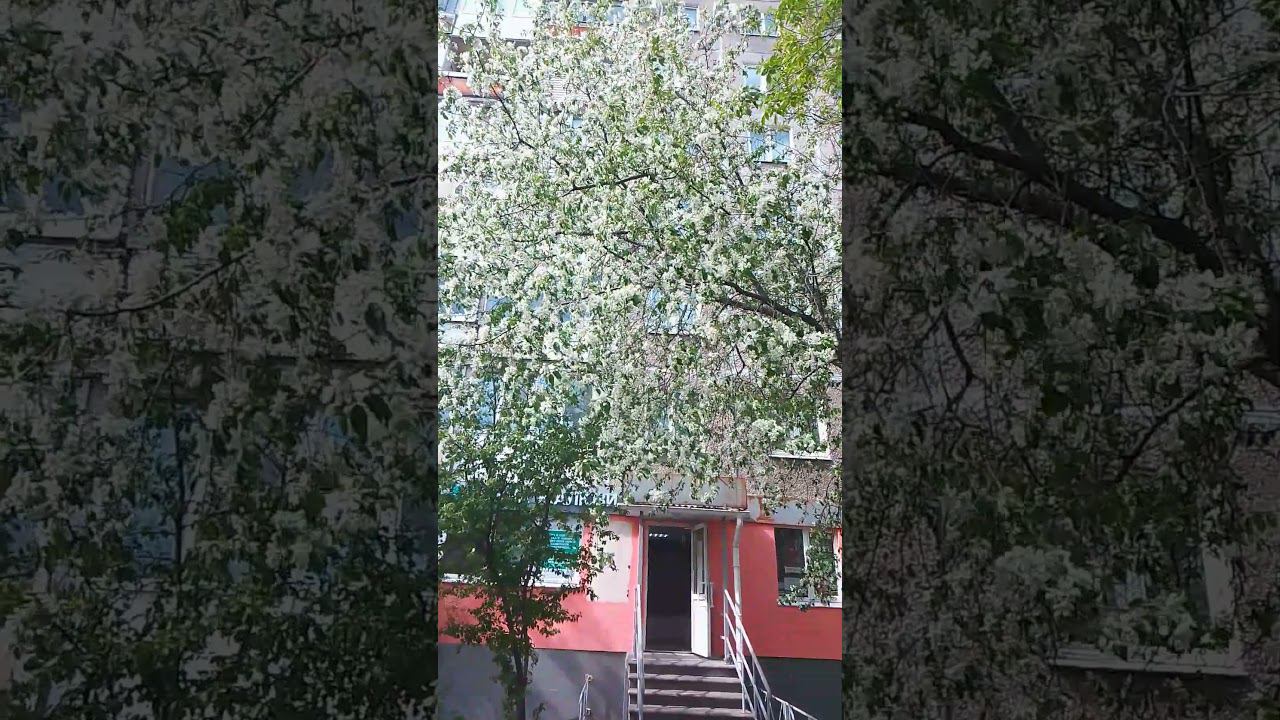 с 1мая,с днём труда товарищи))) смотреть онлайн