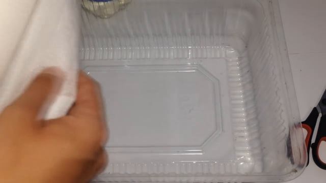 Высаживаем томаты на рассаду. Рассада томатов. Как все сделать правильно смотреть онлайн