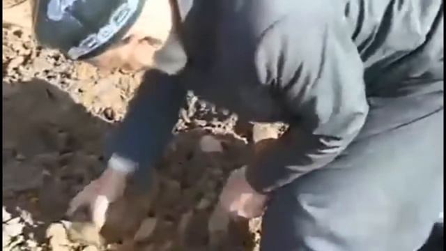 Клип Мастчохи смотреть онлайн