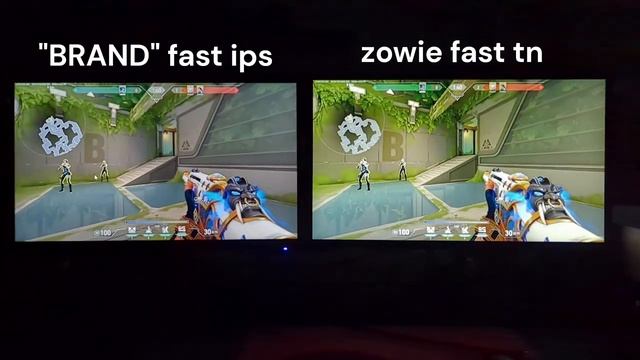 Il mio nuovo monitor 360hz Zowie xl2566k смотреть онлайн