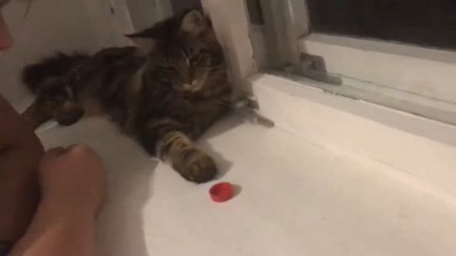 Играем в пятнашки))) смотреть онлайн