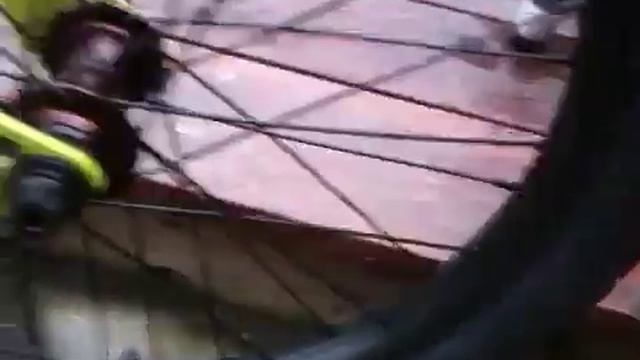 WeThePeople Volta 2011 Matt Lime