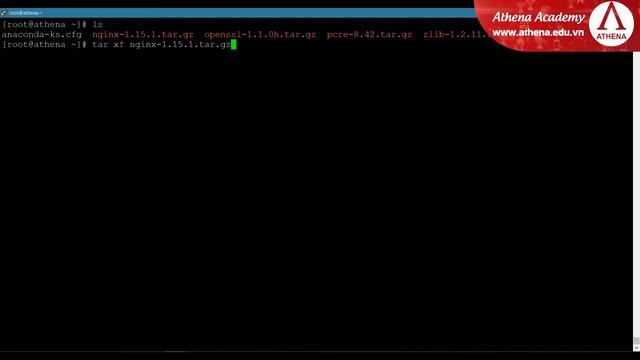 Bài thực hành CÀI ĐẶT NGINX TỪ SOURCE смотреть онлайн