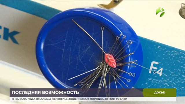 Включение в реестр предпринимателей поможет получить господдержку смотреть онлайн